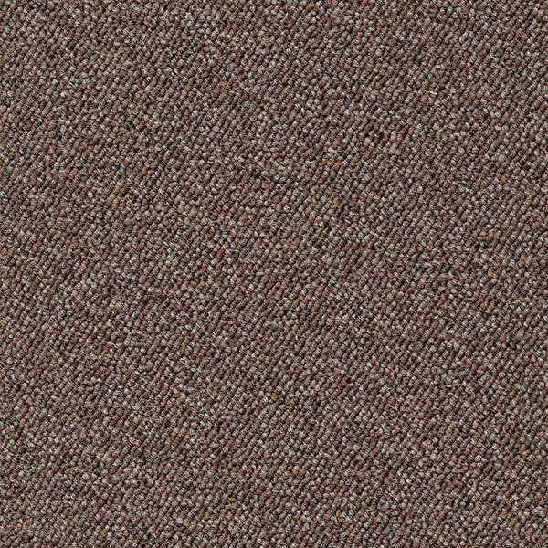 Maxima Sandstone