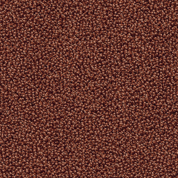 Pearl Tropical Carpet