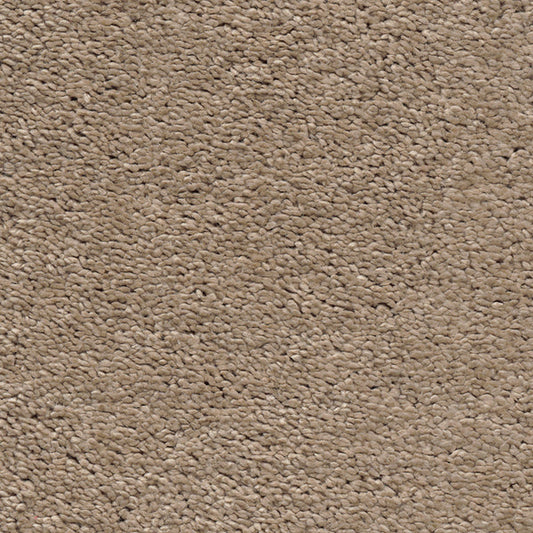 Invictus Magnificus Sandcastle