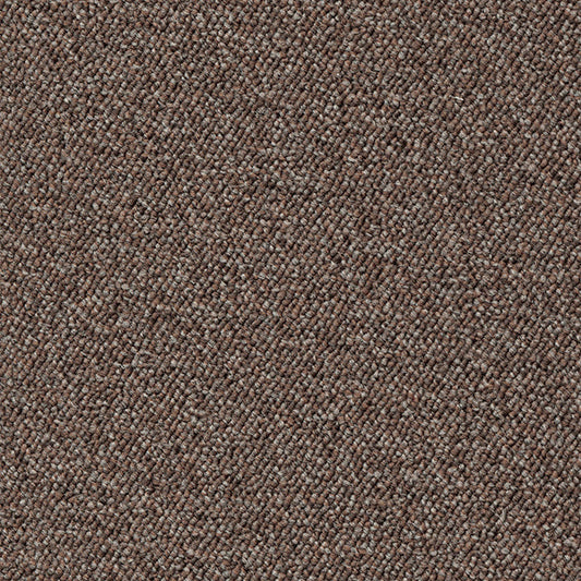 Maxima Sandstone
